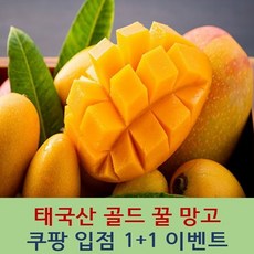 제주왕망고