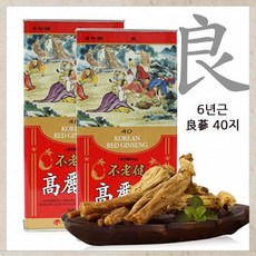 불로건 대동고려삼 양삼 40지 건홍삼 말린홍삼 건삼 흑삼 홍삼뿌리 6년근, 300g, 1캔
