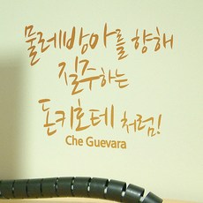 현관리모델링
