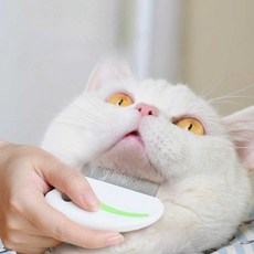 고양이 턱드름 빗 참빗 블랙헤드 여드름 벼룩 제거 턱클리너 미니 털 브러쉬, 1개, 4.다목적용빗1개(검은턱+매듭열고부드럽게만듬)