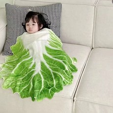 배추담요