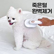 말빗 TOP01
