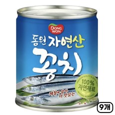 동원 자연산 꽁치 230g x 9캔, 9개