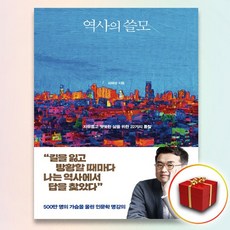역사의쓸모