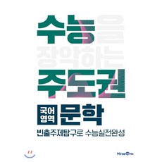 오르비수능적문학개념