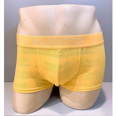 리바이스남자팬티