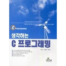 생각하는 C 프로그래밍, 글로벌