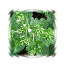 f1caf095ca964d4247b2fe1955a39a94aec7177b8c449de52d2b2baeab69.png