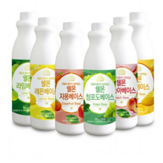 과일농축액 깔라만시 자두베이스 착즙주스 쉘몬