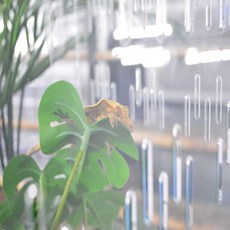 테이블펫 TOP01