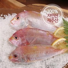 기타 제주 자연산 황돔 300g*13팩...