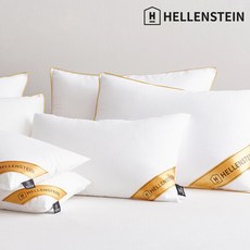 헬렌스타인 [헬렌스타인] 다운필 베개 40x60, 선택완료
