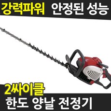 울프가르텐전기전정기