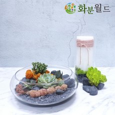 edc52b18d59966bbdaf46a8a7bbffea700626e5fa5322f33ba96b90d23e9.jpg