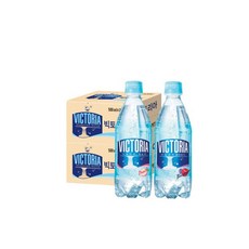 천연탄산수제조기