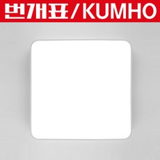 번개표led방등