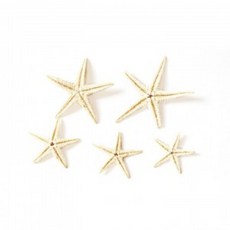 꽃과캔들의만남캔들리스만들기