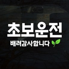 108 STUDIO 초보운전 차량스티커300, 309(새싹v2)미디움