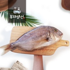 국내산 제수용 반건조 참돔 1마리 소 중 대(망미중앙시장 김명욱), 국내산 반건조 참돔37cm 소