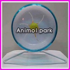 [애니몰파크]고슴도치쳇바퀴/무소음쳇바퀴(소)/무소음쳇바퀴(중)/무소음쳇바퀴(대)/무소읍쳇바퀴(특대)/포맥스고슴도치쳇바퀴/포멕스쳇바퀴/고슴도치, 고슴도치무소음쳇바퀴(중)