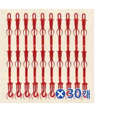 전통방식 곶감 만들기 DIY 세트 30개입, ONE COLOR, ONE SIZE