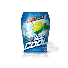 대동해모로아이스쿨