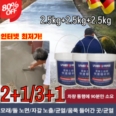 2+1/3+1 인터넷 최저가! [수선 전용] 속건성 방수 시멘트 모르타르 전용급건시멘트 속건콘크리트재 노면보수재 균열 채우기, [2+1]2.5kg, 1개