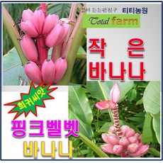 121d7122ebcb3f3b476e5a893ba4779ce51f31a1a6c950057e4f7c84027e.png