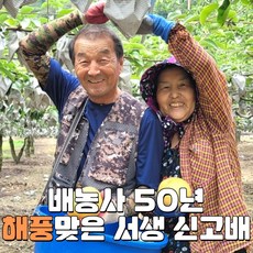 울산보배과즙