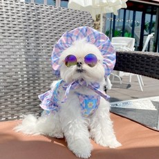 도그토리수영복