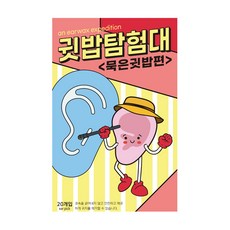 귓밥탐험대 묵은귓밥편 깔끔 점착식귀이개 20개입 1개