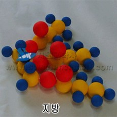 분자구조모형