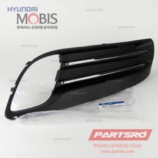 제네시스쿠페프론트립