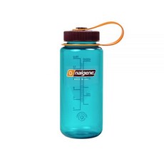날진 서스테인 와이드 마우스 보틀, 틸, 500ml, 1개