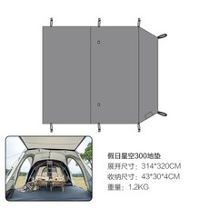 홀리데이스타300