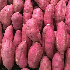 해남 세척 꿀고구마 3kg~ 한입/중상/특상/대, 꿀고구마 3kg 한입사이즈, 3kg, 1개