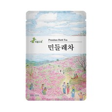 옥상의민들레꽃