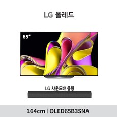 LG 올레드 TV 65형(163cm) OLED65B3SNA 스탠드or벽걸이 무료설치