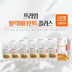 힘 기운 없을때 지칠때 육체 피로 체력 저하 조혈 에너지 필요할때 에 좋은 먹는 프리미엄 비타민 비 복합체 영양제 남성 여성 중년 장년