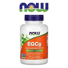 카멜리아시넨시스