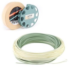 아웃라인루프박스