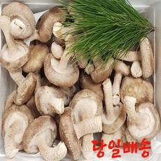 aa9938d8ccceace8a29b2b9394ea91be446287d01c151aa220cac8bec8da.jpg