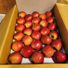 [산지 직송] 아삭한 고당도 보은 아리수사과, 5kg(28과), 1박스