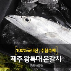 제주도홈쇼핑