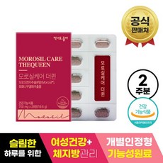 라헨느더퀸티스타일