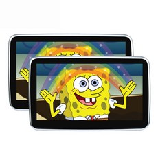 후석모니터시스템