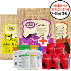 필로덴드론위시본