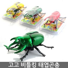 고고갈래