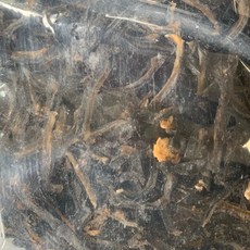 마른 해삼채 600g X 6 슬라이스 말린 건조 외국산(러시아 미국 베트남), 6개