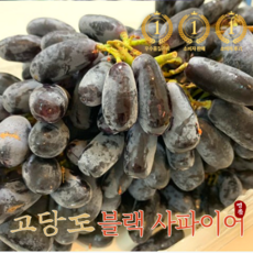블랙사파이어포도-추천-상품